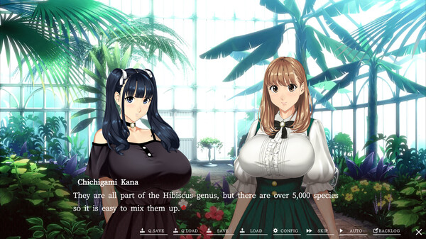 Welcome to Maison Chichigami PC Full Español Mega